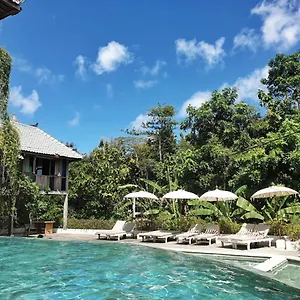 3* 住宿加早餐酒店 巴厘岛宾艮海滩波希住宿加早餐旅馆